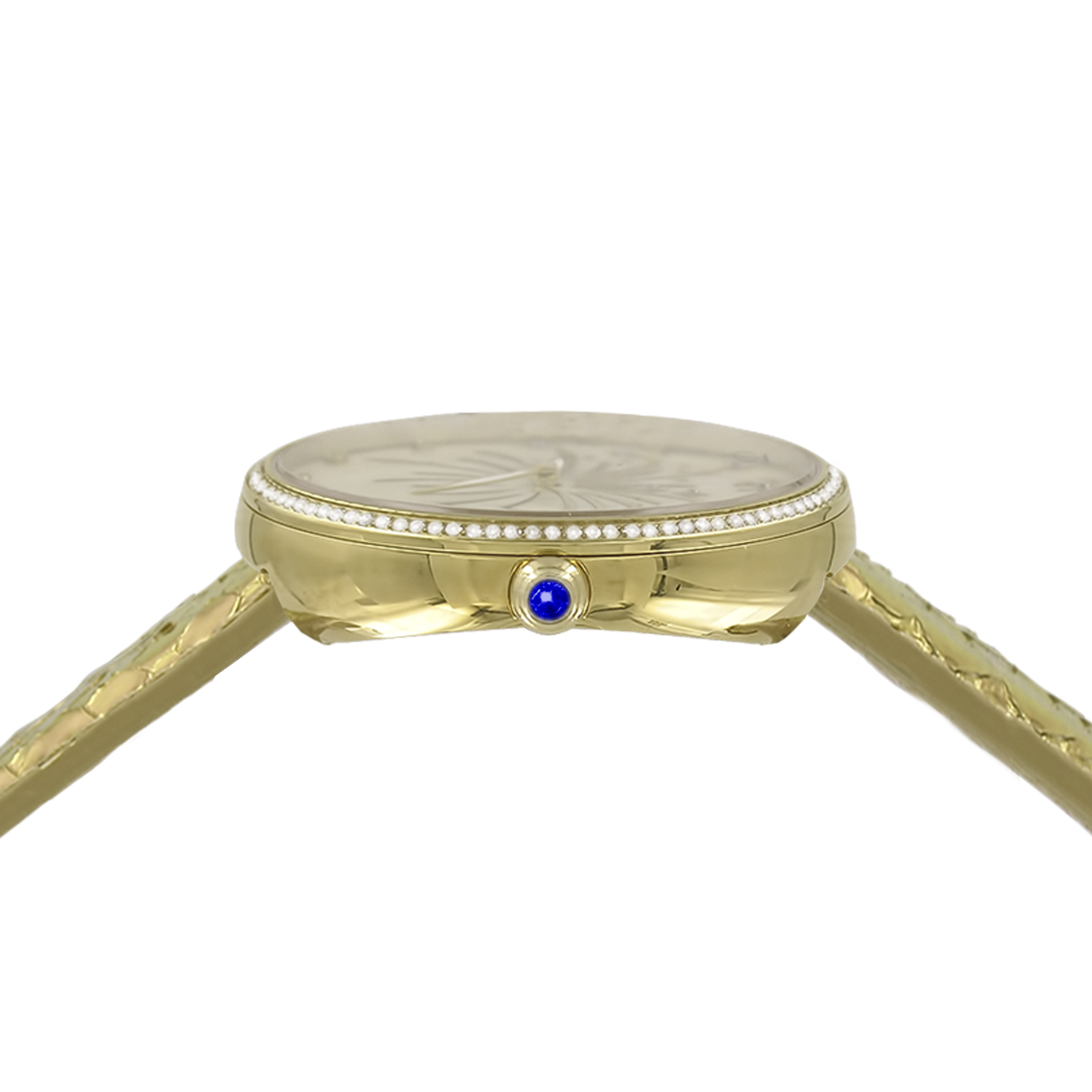 Firework 002 - Maison Tellus