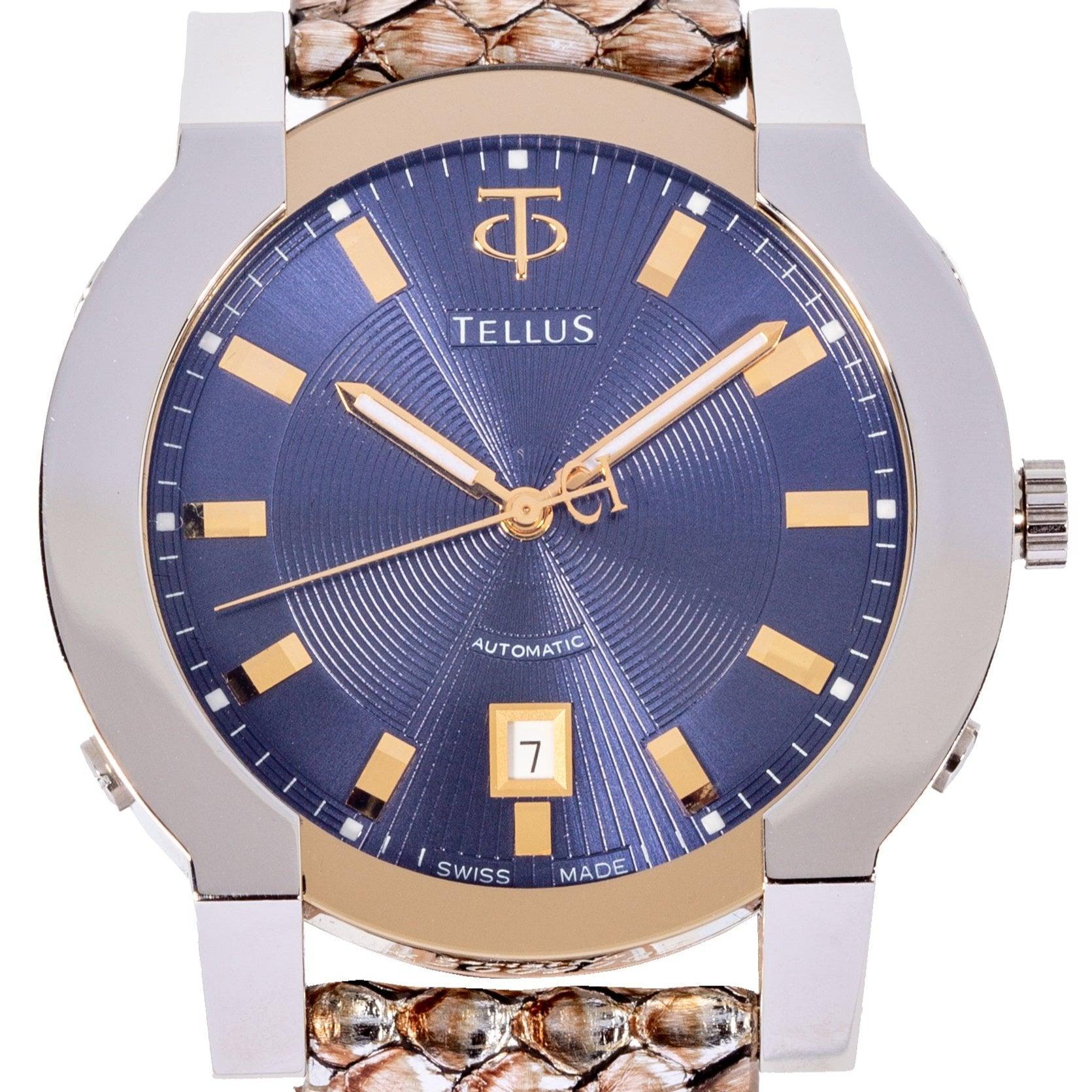 Discoverer 101 - Maison Tellus