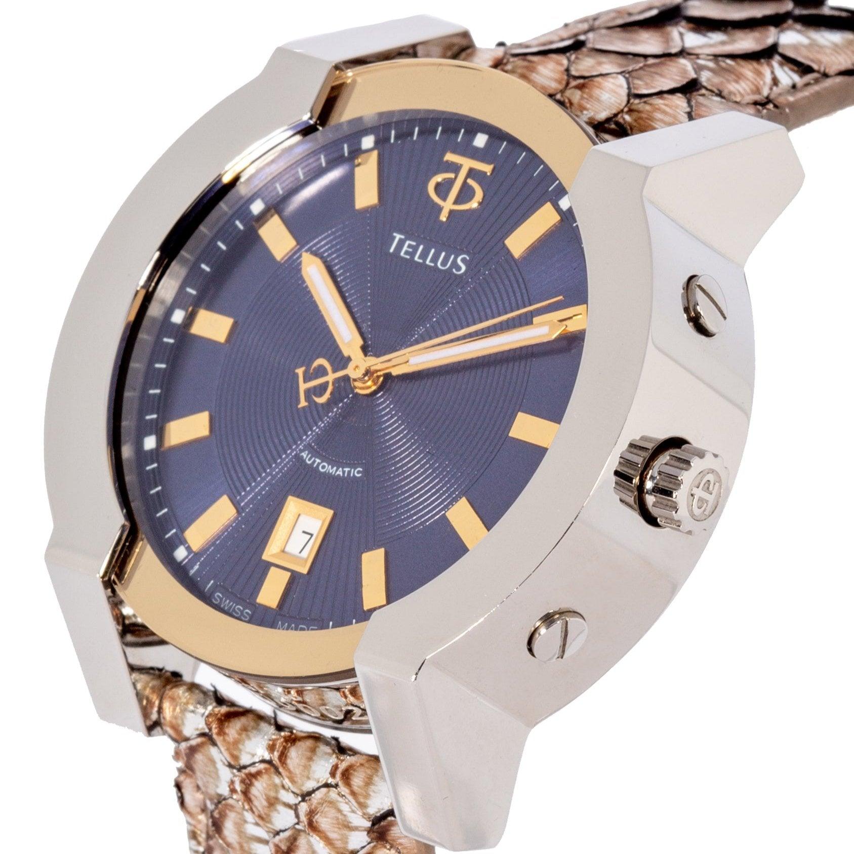 Discoverer 101 - Maison Tellus