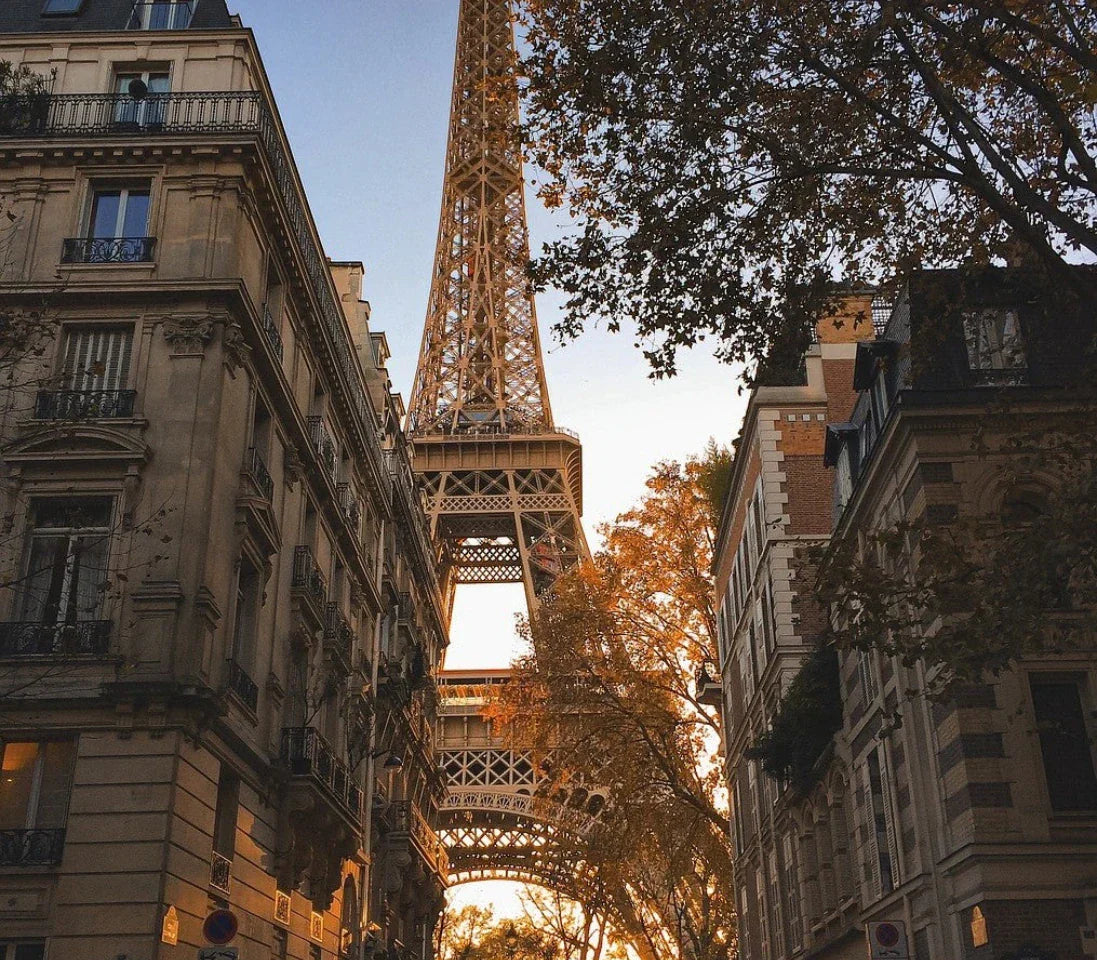 Un nouveau Showroom à Paris